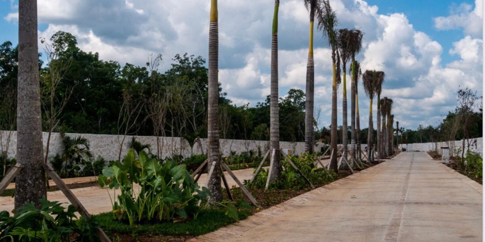 Construir en Cancún: Guía Realista de Tiempos, Costos y el Valor de lo Hecho a Medida
